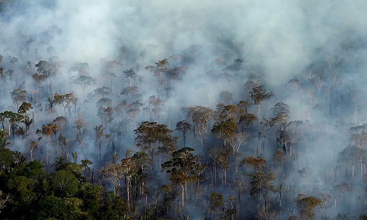 Нове дослідження: вирубка тропічних лісів в шість разів небезпечніше для клімату, ніж вважалося раніше