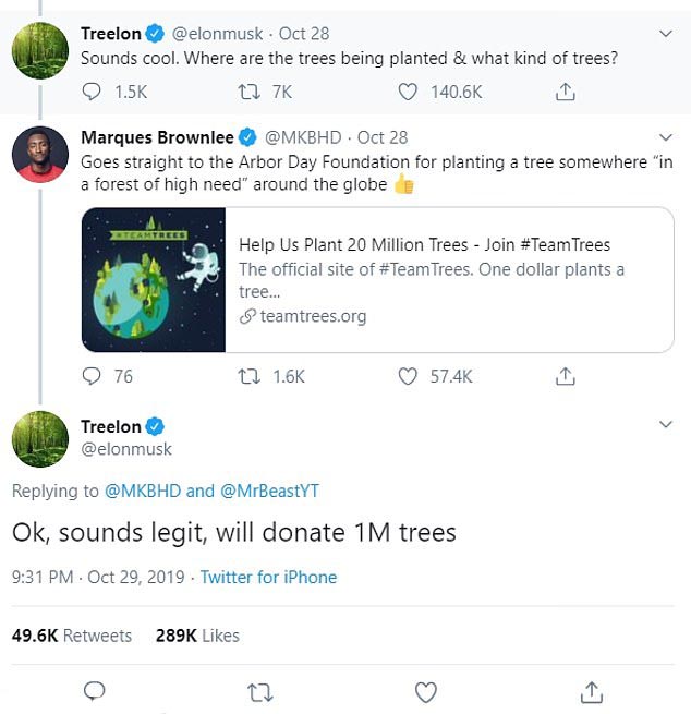 #TeamTrees - боротьба з глобальним потеплінням чи «зелена» PR-компанія для мільйонерів?