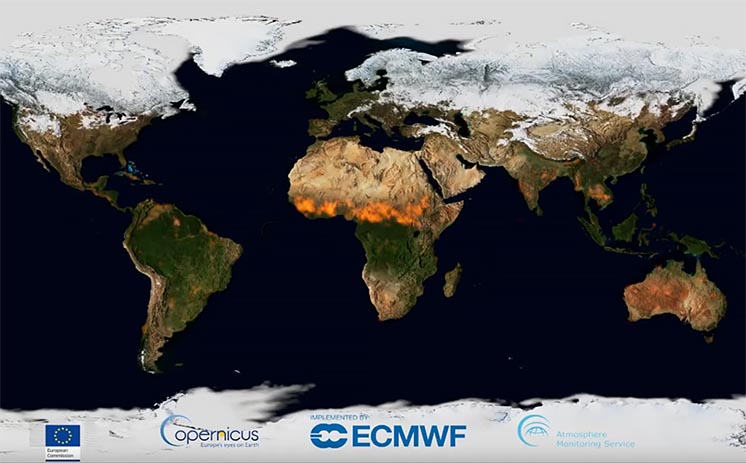 Динамічну карту всіх лісових пожеж Землі за 2019 рік показали в одному відео