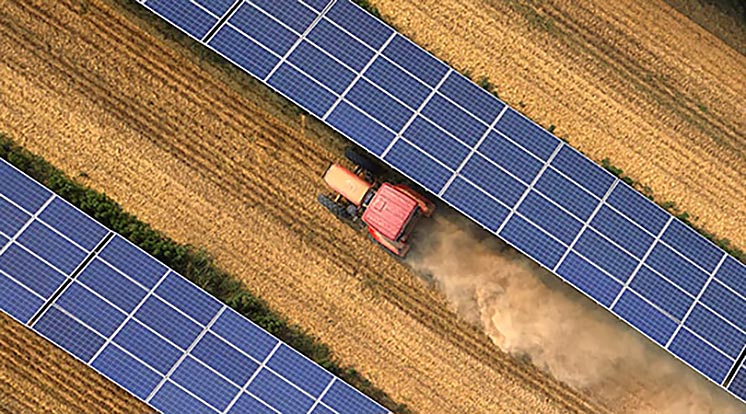 «Сонячне поле» збільшить ефективність землекористування до 160%